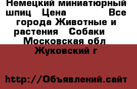 Немецкий миниатюрный шпиц › Цена ­ 60 000 - Все города Животные и растения » Собаки   . Московская обл.,Жуковский г.